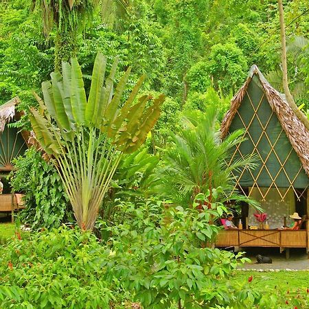 Finca Exotica Eco Lodge Carate Экстерьер фото