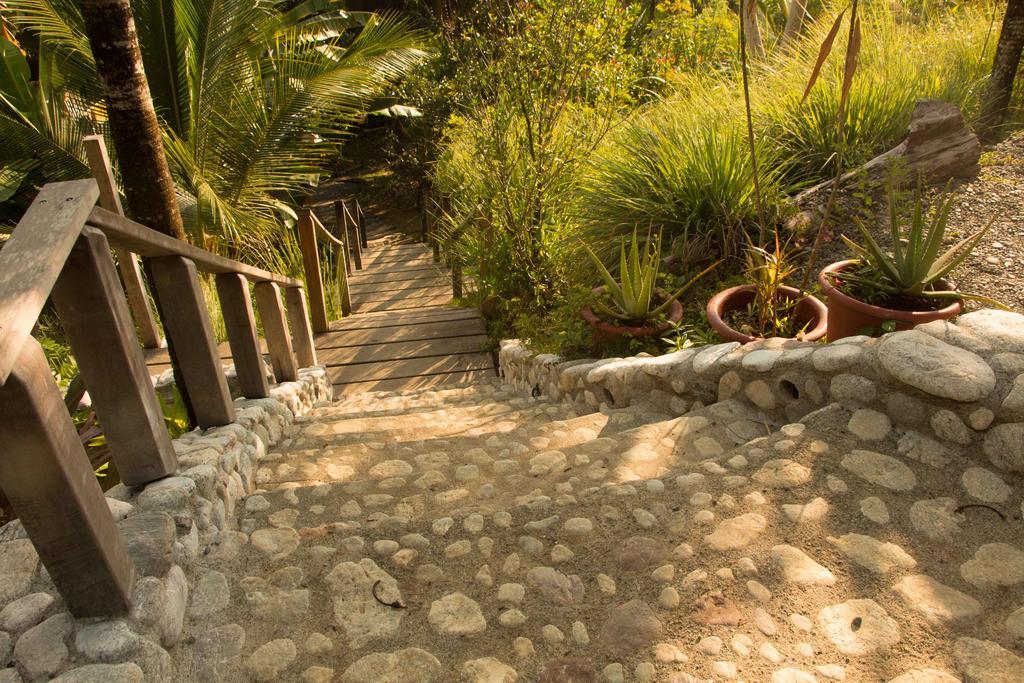 Finca Exotica Eco Lodge Carate Экстерьер фото