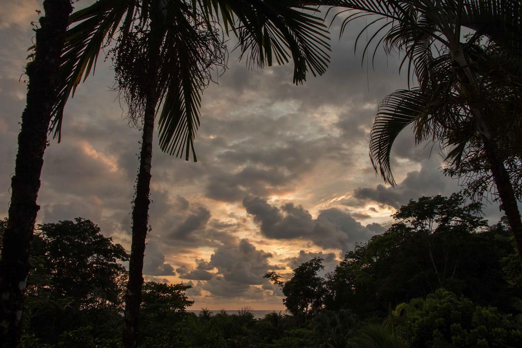 Finca Exotica Eco Lodge Carate Экстерьер фото