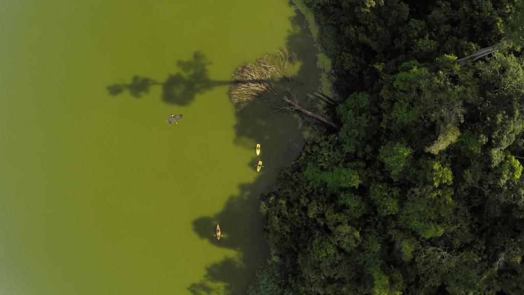 Finca Exotica Eco Lodge Carate Экстерьер фото